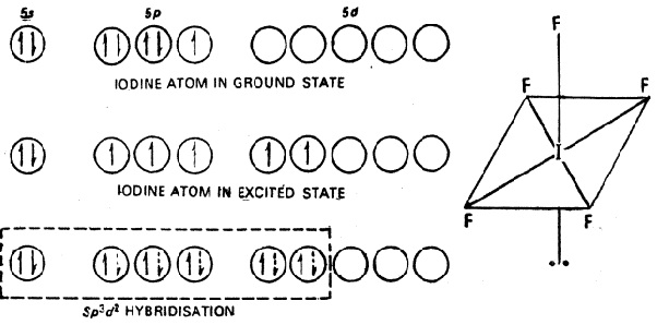 Structures of interhalogen compounds Homework Help Assignment Help